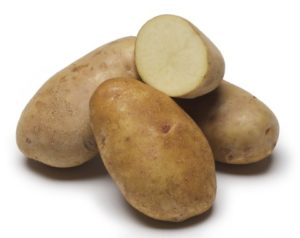 alpine-russet-potato