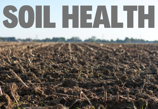 soil-health