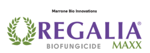 Regalia Maxx Biofungicide