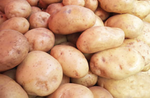 Healthy Potatoes need Calcium - Agro-K