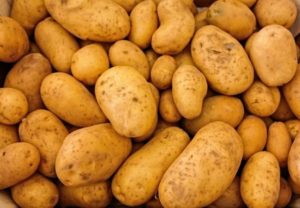 potato image stock