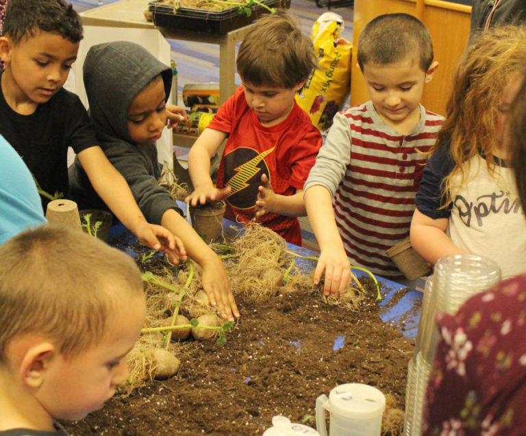 Teaching kids about potatoes focus of Michigan man - Spudman