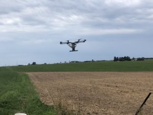 Rantizo drone spraying buckwheat