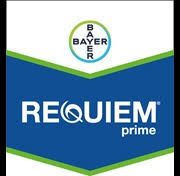 Requiem Prime Bayer