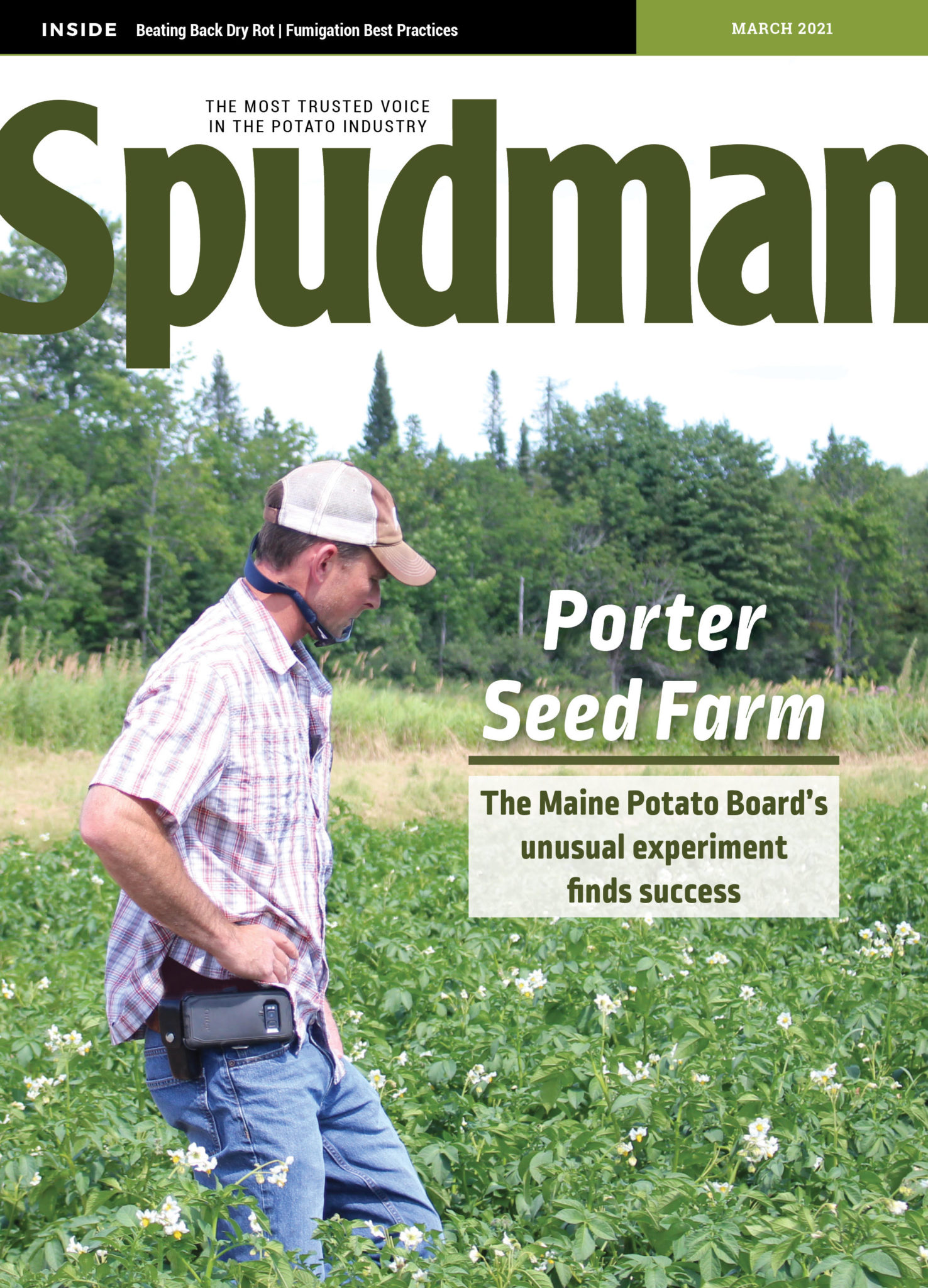 Free Subscription Spudman