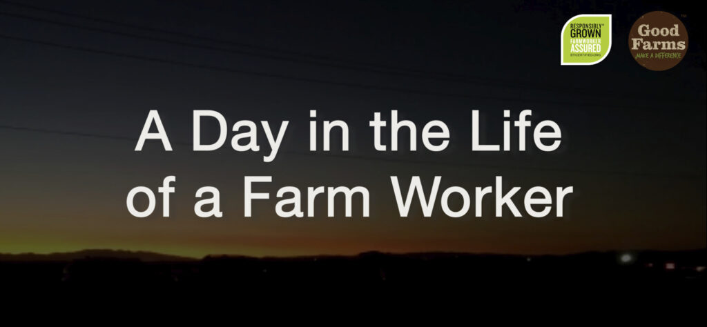 A Day in the Life of a Farm Worker