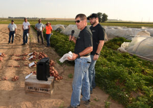 A researcher addresses a group in front of a row of covered potato plants 