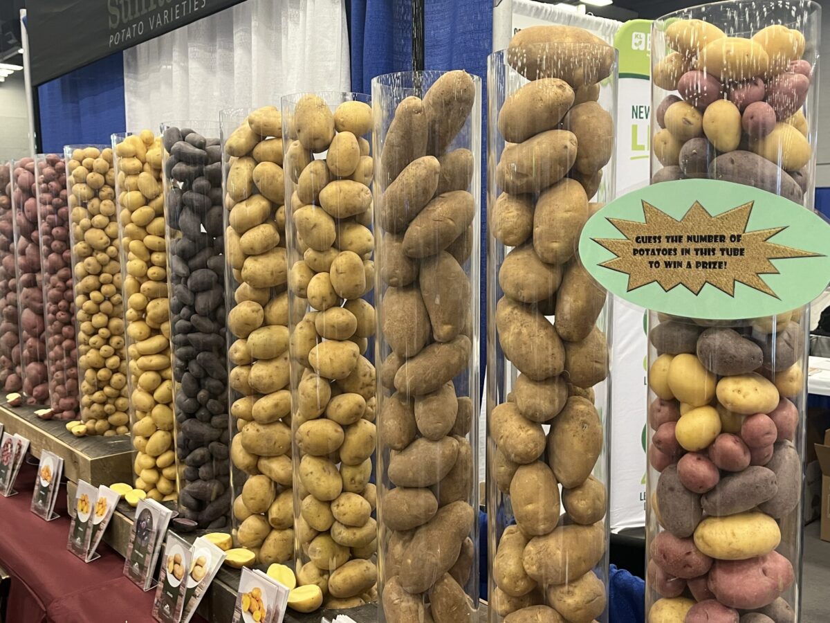 Deadline approaching for Potato Expo 2025 proposals Spudman