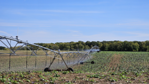 Water falls on a field from an irrigation system stretching across plants