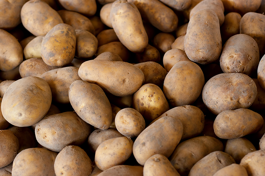 a closeup of different-sized potatoes
