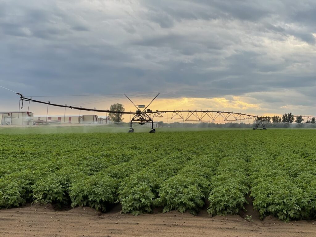Sustainability has always been front of mind for Heartland Farms