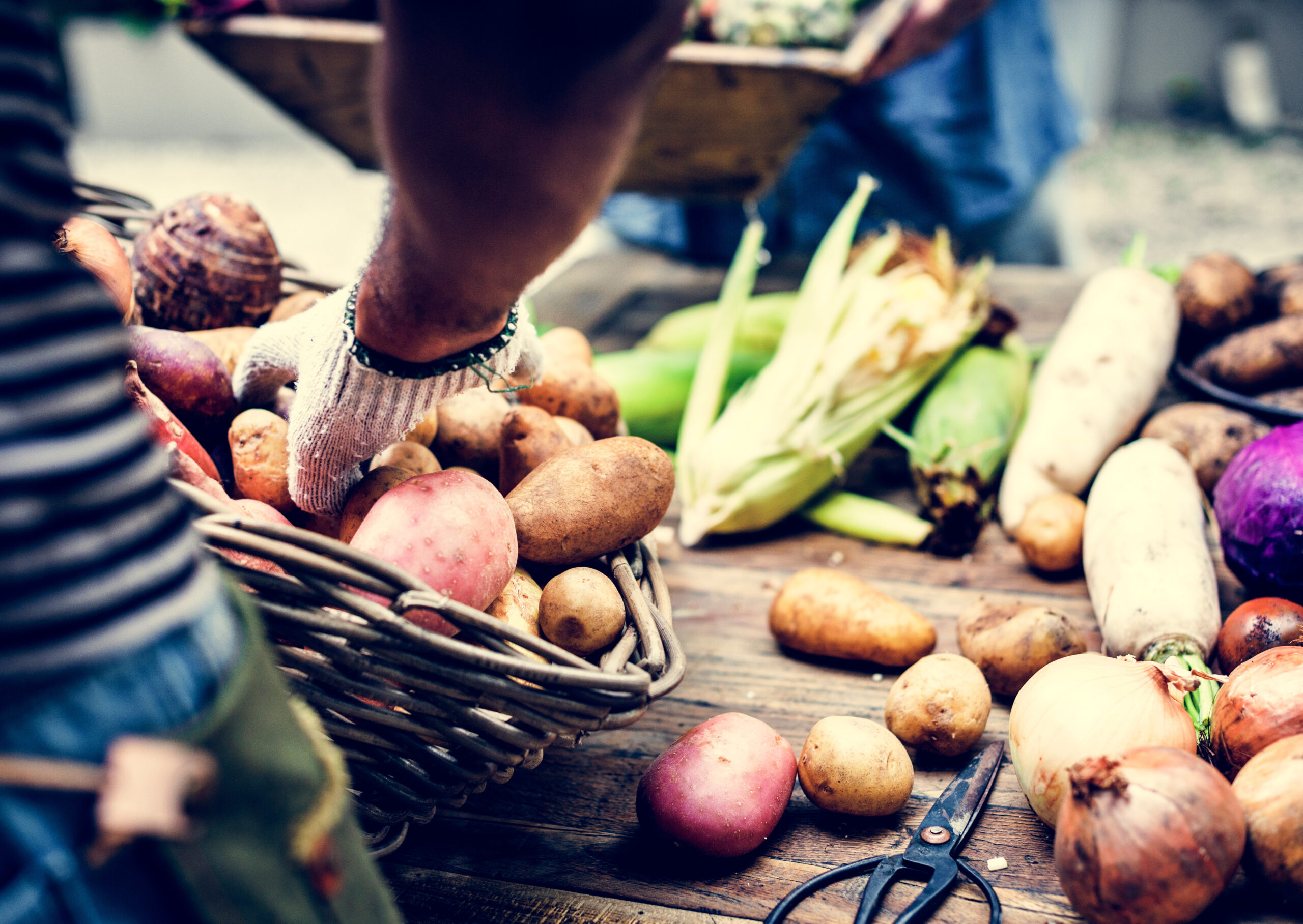 fresh potatoes being placed on a table at market