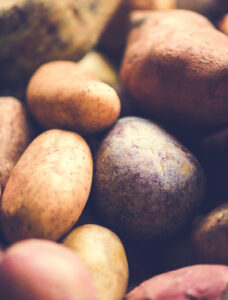 Report: US potato sales stable from July 2025 to June 2026