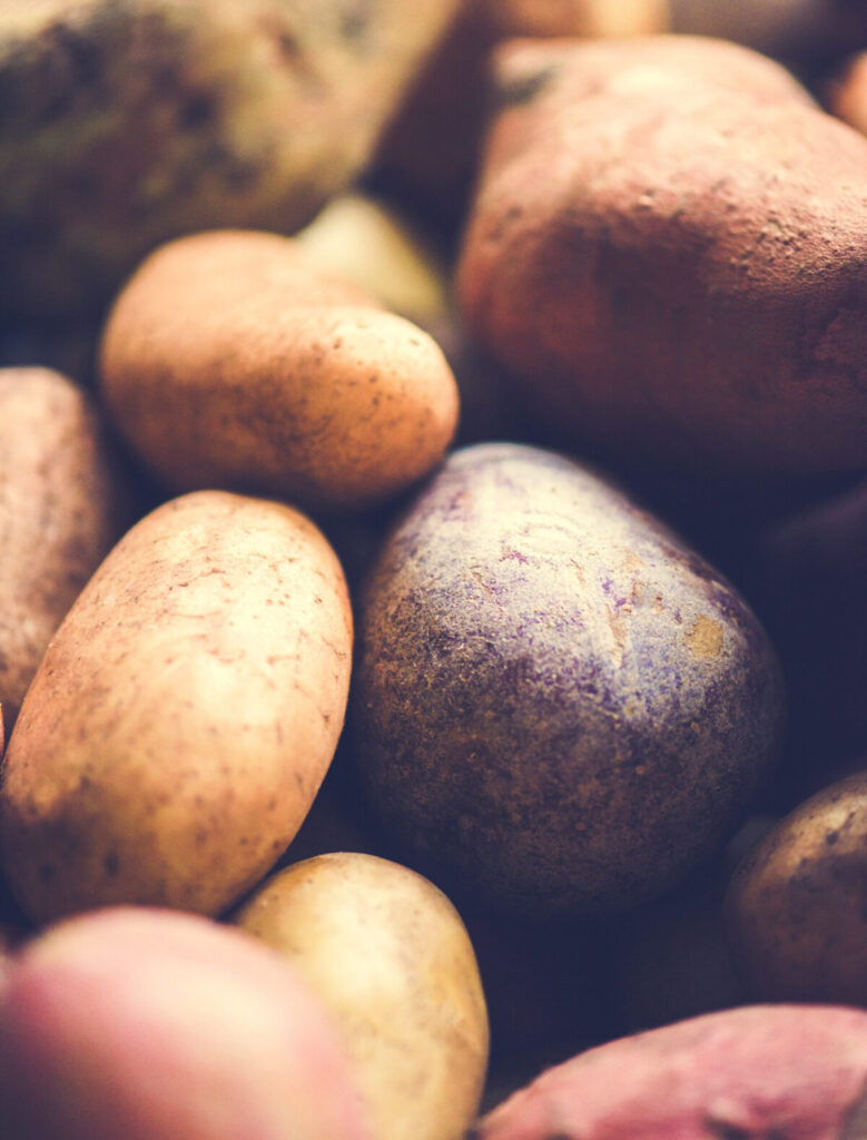 Report: US potato sales stable from July 2025 to June 2026