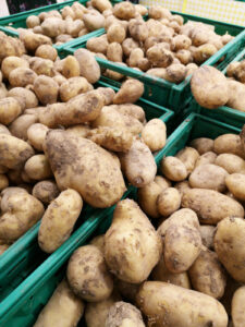 Produce coalition forms to support USCMA trade agreement