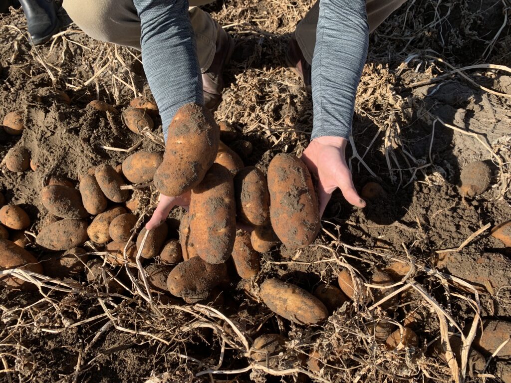 Mickelsen Farms takes lead in sharing farmers’ story with the masses