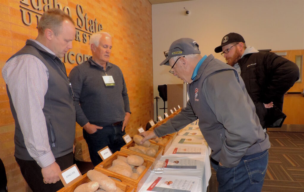 University of Idaho researchers offer tips on potato disease, harvesting, irrigation