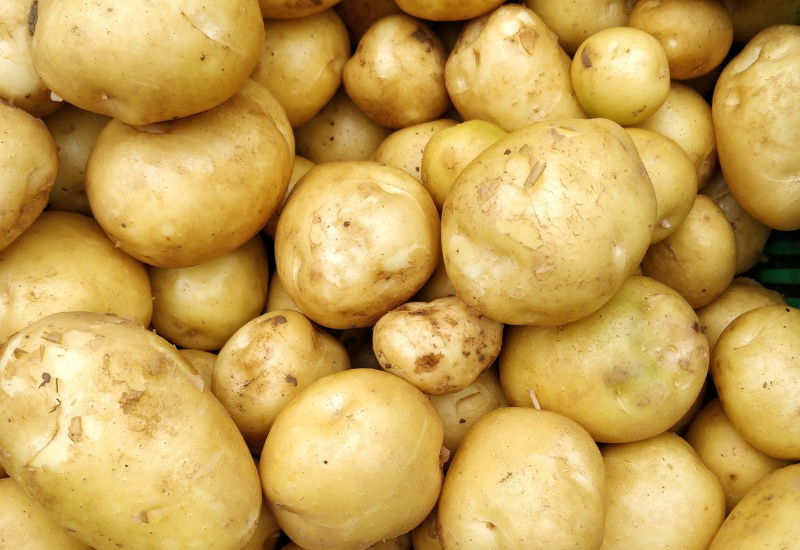 U.S. potato exports reach record value, despite slight volume decline