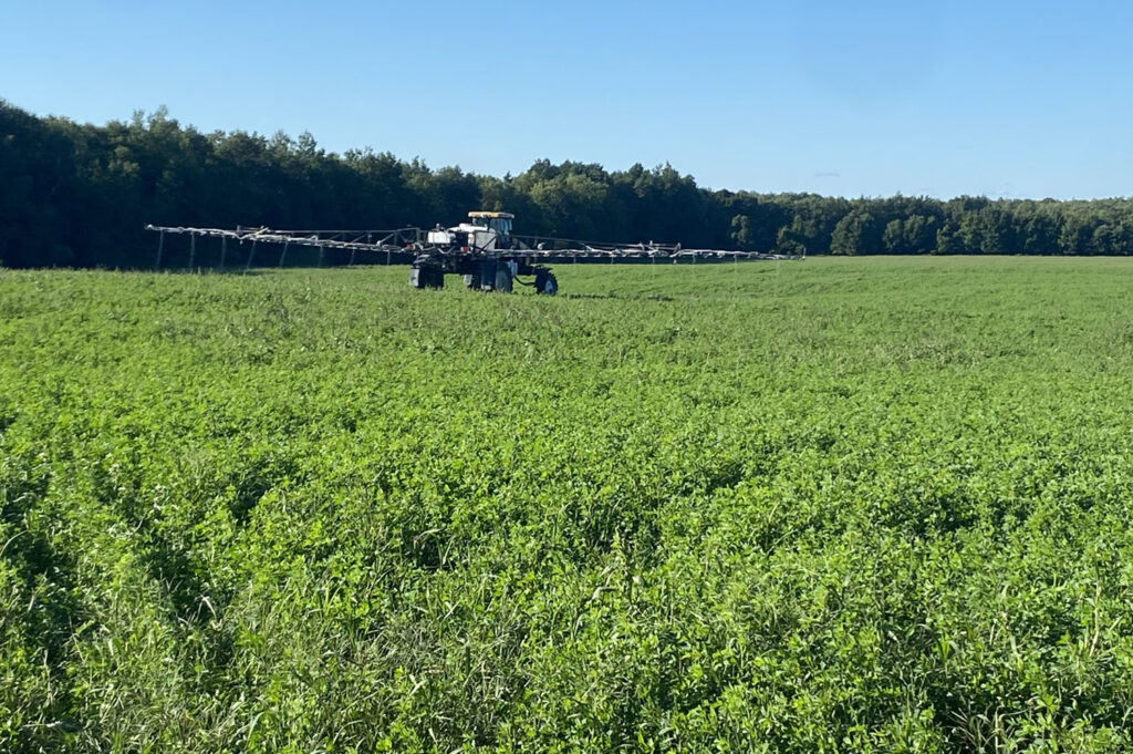 New York grower to test biocontrol nematodes on wireworms