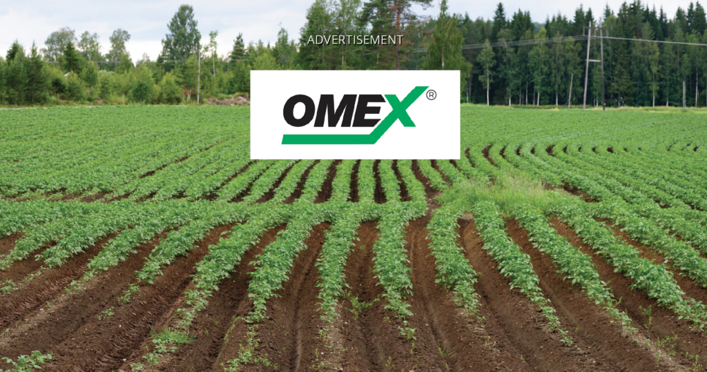 Photo of a potato field with the OMEX logo and the word advertisement