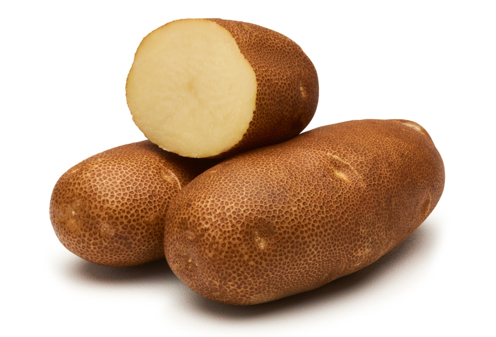 Cultivar Corner: Castle Russet has excellent processing qualities