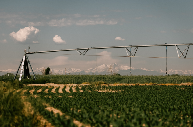 Using precision agriculture practices in potato production