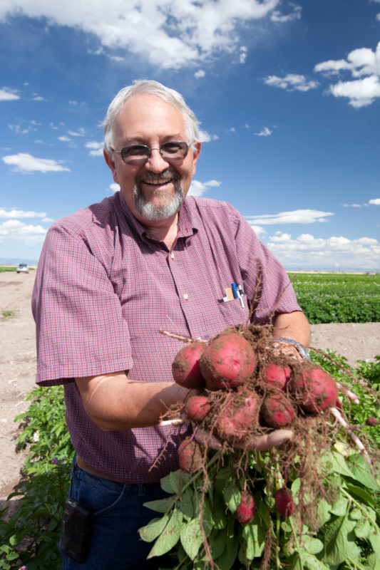 Longtime CSU potato breeder Dave Holm set to retire