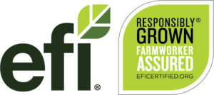 EFI logo