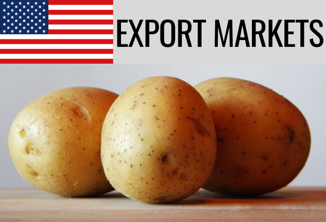 Export markets remain solid for US potatoes
