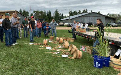 Cover crops help growers manage soil health