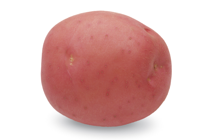 Cultivar Corner: Fenway Red is a mid-season variety with high yields