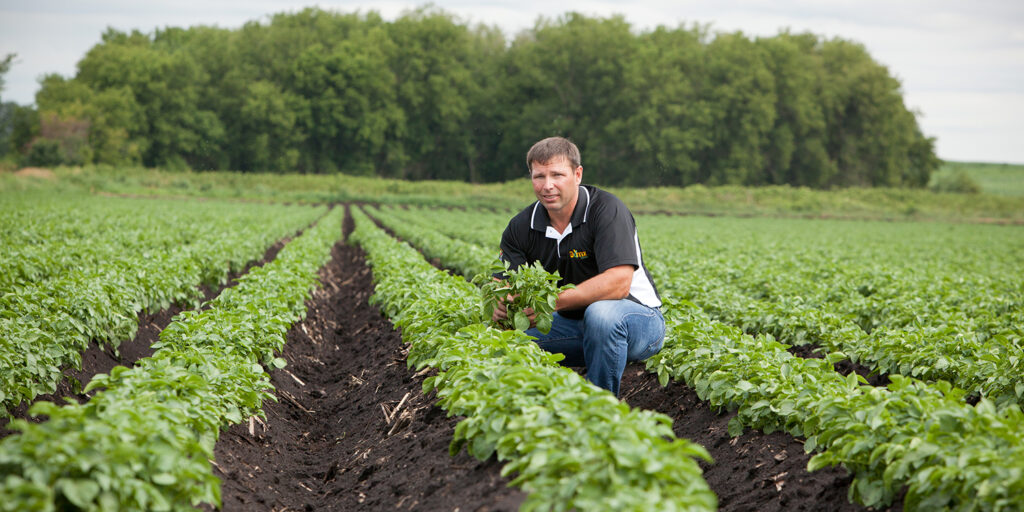 Gumz Farms highlighted by TOMRA Food