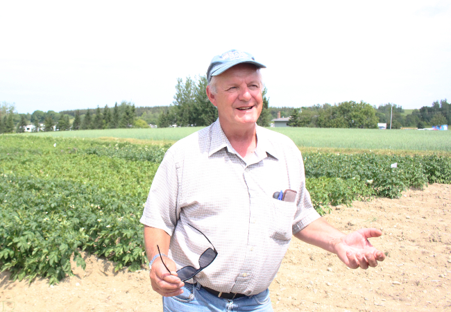 Fries made with new University of Maine potato varieties have less acrylamide