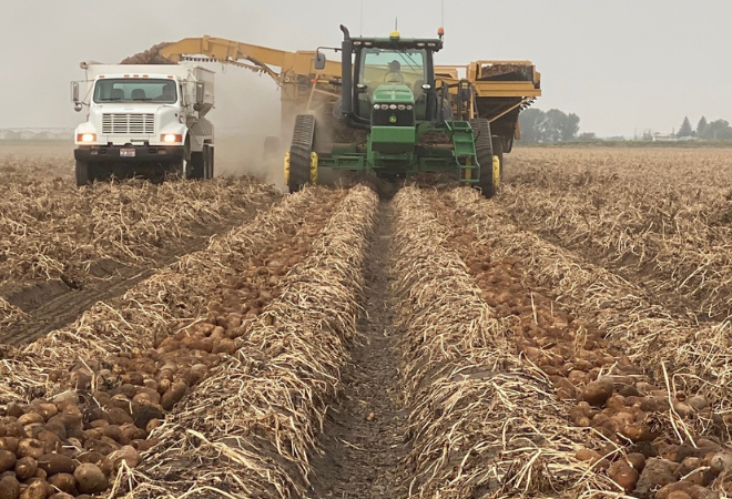 Postharvest 2020: Potato growers offer feedback on season, future concerns