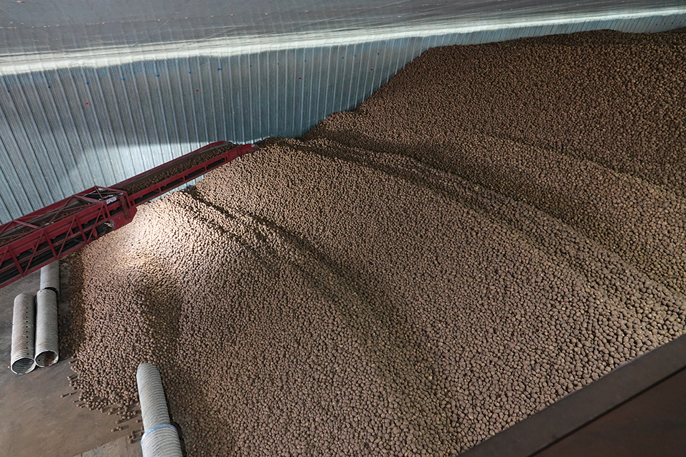 Searching for sprouting solutions