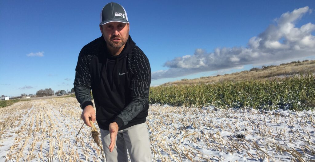 Protecting the Soil: Cover crops key to keeping one small farm alive