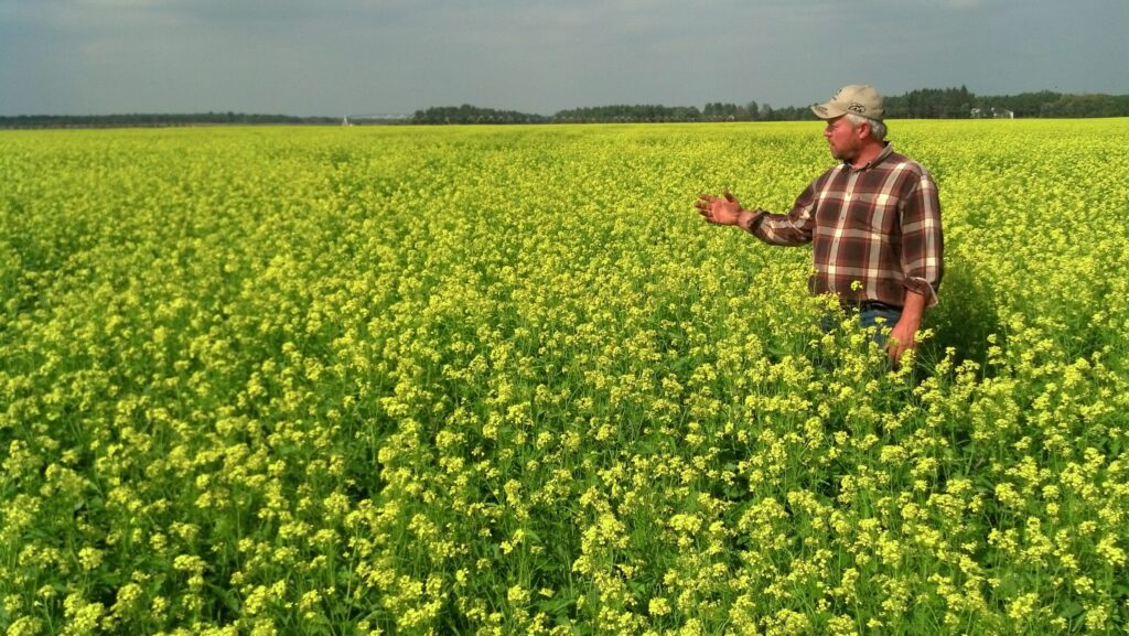 Smart and sustainable farming