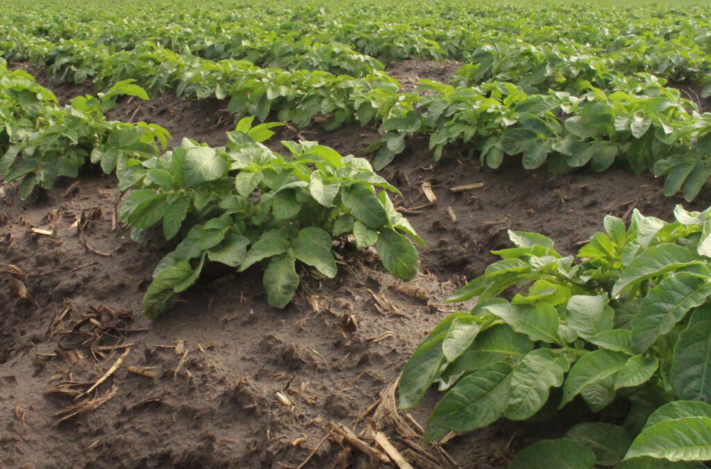 Simplot fertilizer recognized at space symposium