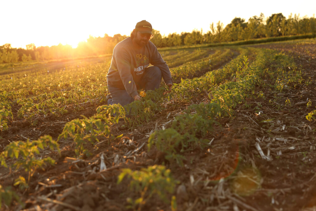 Wagner Farms wins first Specialty Crop Sustainability Award