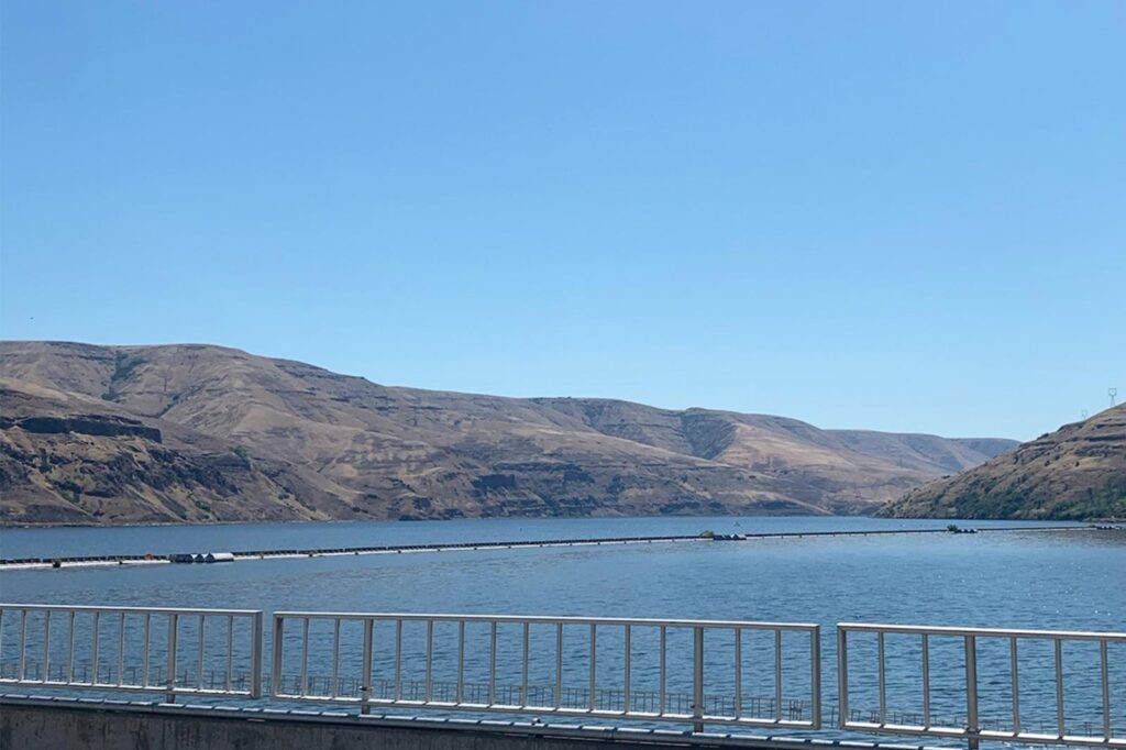 Idaho Farm Bureau: No way on Snake River dam removal plan