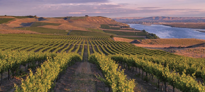 Columbia-Snake River litigation has more than 90,000 acres in balance