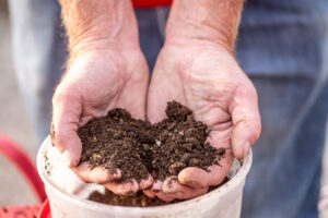 Layer-Ash-Blend-Morgan Composting