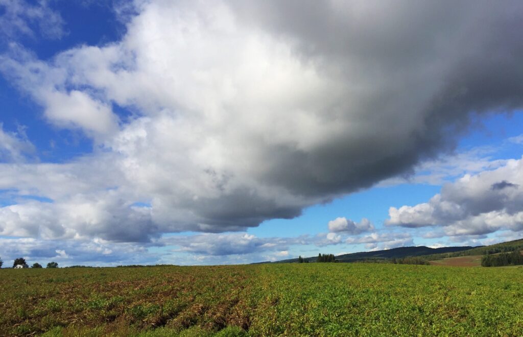 Sustainability = Environmental Stewardship, Economic Success