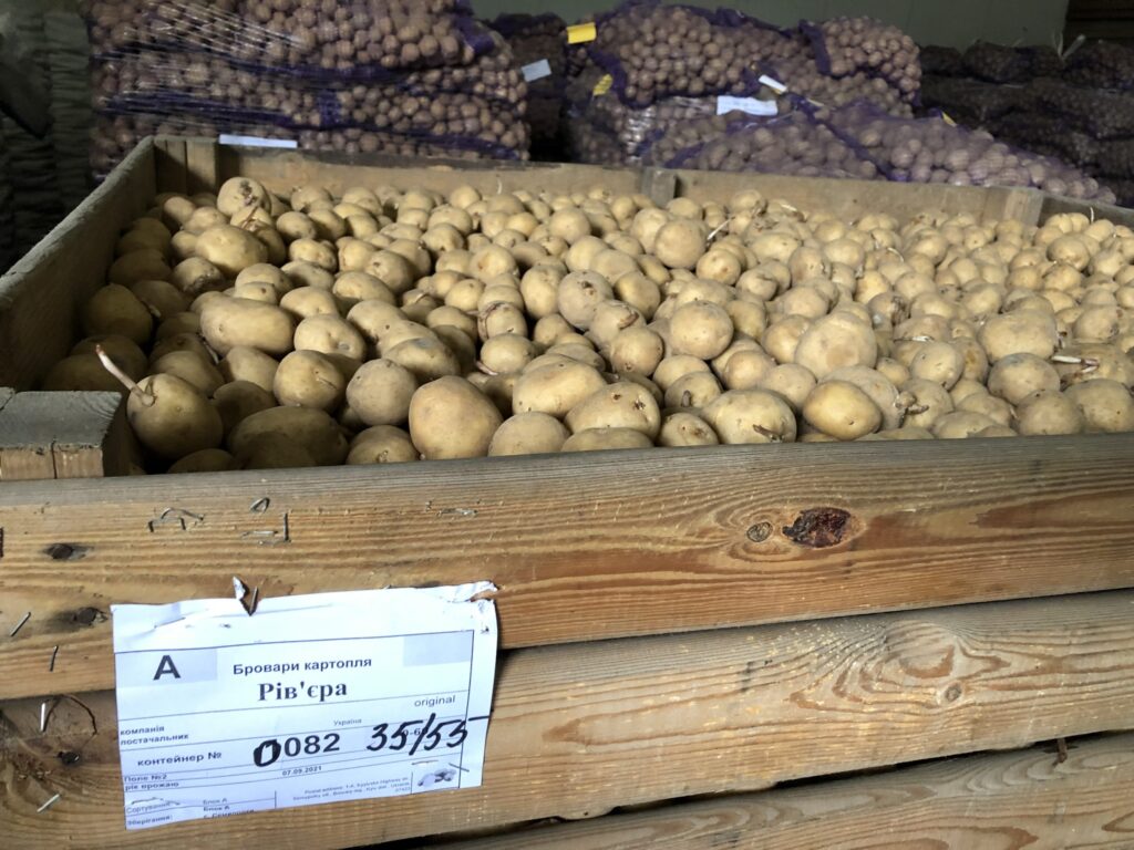 How Ukraine-Russia war is affecting potato production