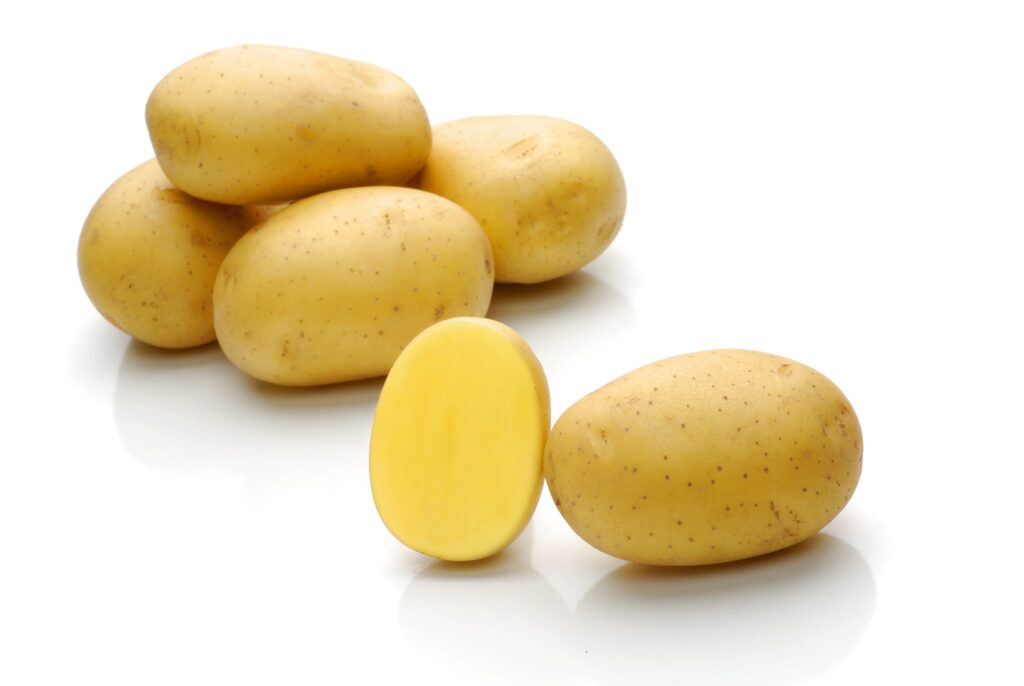 Cultivar Corner: Natascha is an early, high-yielding yellow potato with great taste