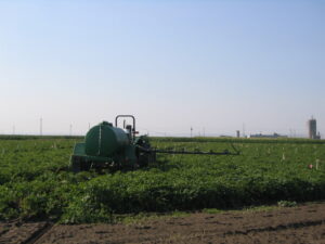Photos: Oregon State University, Irrigated Agricultural Entomology Program