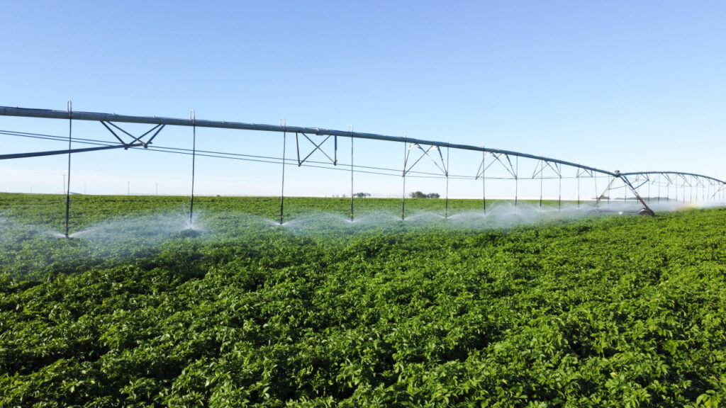 Water stewardship crucial to growers’ operations