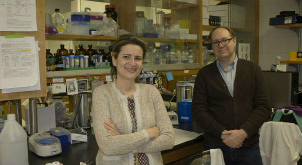New lab to study potato genetics to prevent losses while in storage