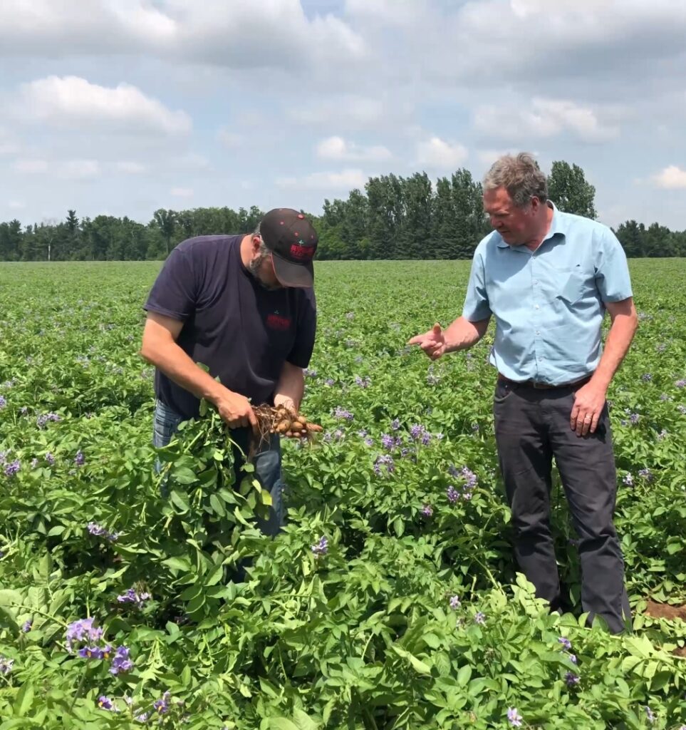A full season approach to root growth and crop quality