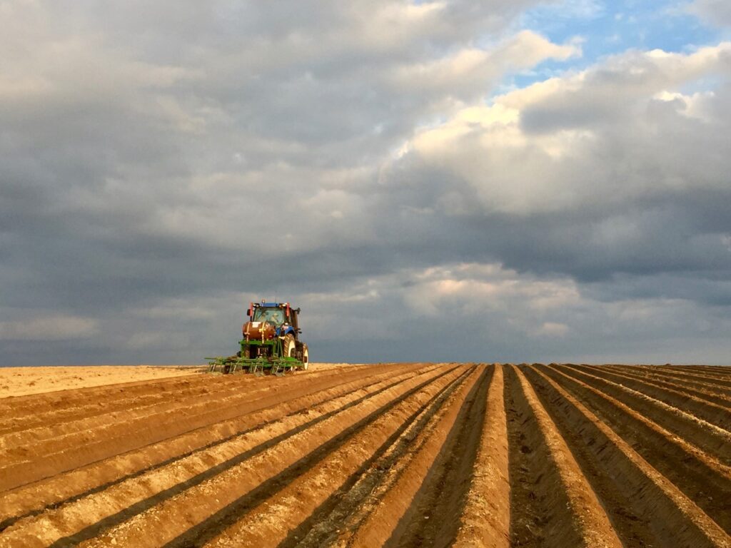 Fumigation reduces soilborne diseases, which helps sustainability